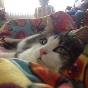 Meet your Posher, Nancy